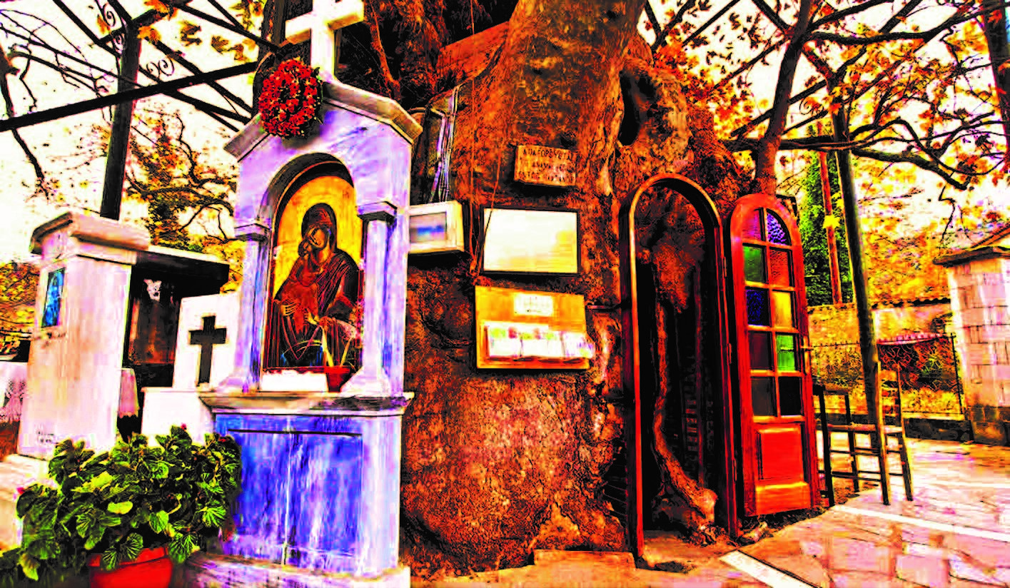 &Pi;&Alpha;&Rho;&Alpha;&Lambda;&Iota;&Alpha; &Epsilon;&Lambda;&Alpha;&Iota;&Omega;&Nu;&Alpha; – &Pi;&Alpha;&Nu;&Alpha;&Gamma;&Iota;&Alpha; &Pi;&Lambda;&Alpha;&Tau;&Alpha;&Nu;&Iota;&Omega;&Tau;&Iota;&Sigma;&Sigma;&Alpha;. &Sigma;&Alpha;&Beta;&Beta;&Alpha;&Tau;&Omicron; 06/06/2026