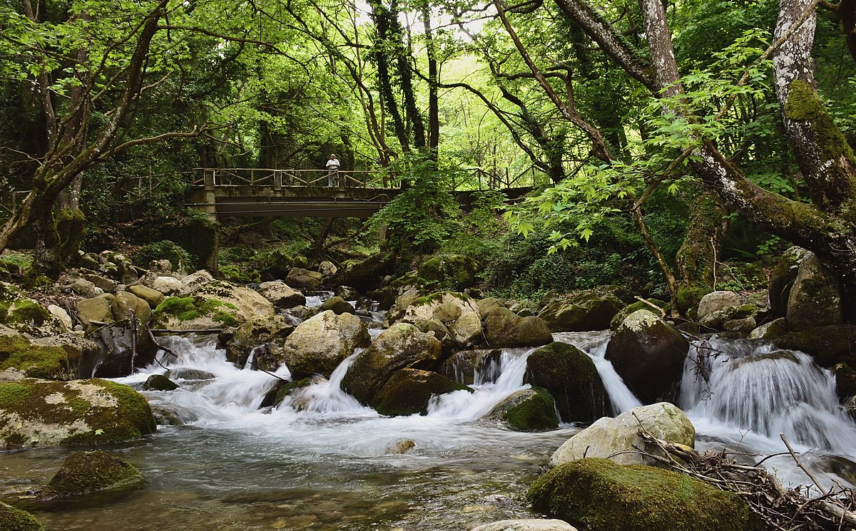 ΑΘΑΝΑΣΙΟΣ ΔΙΑΚΟΣ ΦΩΚΙΔΑΣ. ΣΑΒΒΑΤΟ 20/12/2025