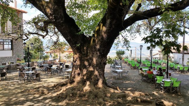 &Alpha;&Nu;&Omega; &Tau;&Iota;&Theta;&Omicron;&Rho;&Epsilon;&Alpha; <<&Gamma;&Iota;&Omicron;&Rho;&Tau;&Eta; &Tau;&Sigma;&Iota;&Pi;&Omicron;&Upsilon;&Rho;&Omicron;&Upsilon;>> &Pi;&Omicron;&Lambda;&Upsilon;&Delta;&Rho;&Omicron;&Sigma;&Omicron;&Sigma;. &Sigma;&Alpha;&Beta;&Beta;&Alpha;&Tau;&Omicron; 24/10/2026